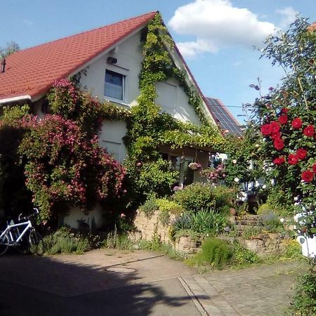 Moebliertes Zimmer, Pluederhausen Pluderhausen Dış mekan fotoğraf